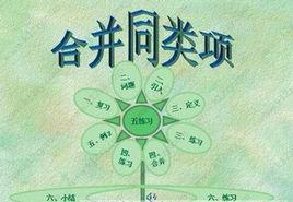 合併同類項 合併同類項