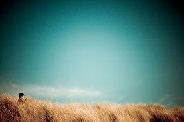 蔚然成風、 蔚然成風、