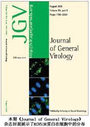 虹彩病毒 虹彩病毒