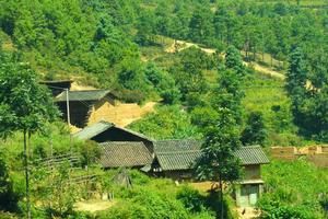 黑納箐組村 黑納箐組村