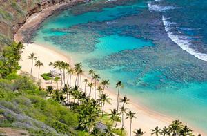 夏威夷群島 夏威夷群島