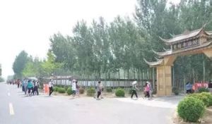 楊辛莊村 楊辛莊村