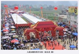 靖西壯族端午藥市