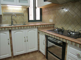 磚砌櫥櫃 磚砌櫥櫃