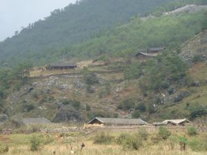 蟬戰河村 蟬戰河村