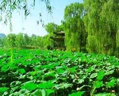 如意湖亭 如意湖亭