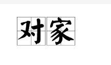 對家 對家