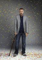 豪斯醫生[美國2004年休·勞瑞主演電視劇]