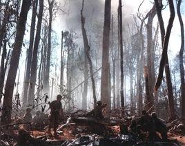 溪山戰役[1968年1月至7月越南戰爭期間的大規模戰役]