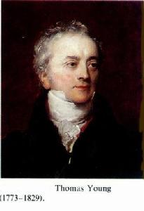 托馬斯·楊 托馬斯·楊