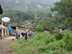 金魚塘村 金魚塘村