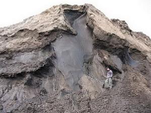 （圖）加拿大的永久凍結帶