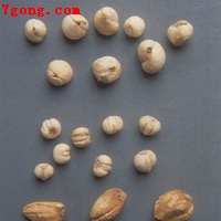 川貝雪梨燉豬肺 川貝雪梨燉豬肺