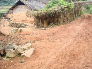 下箐頭自然村 下箐頭自然村