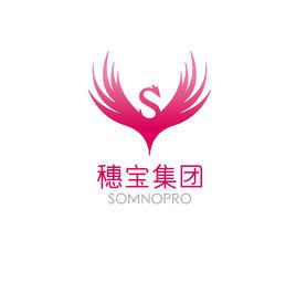 穗寶集團 穗寶集團