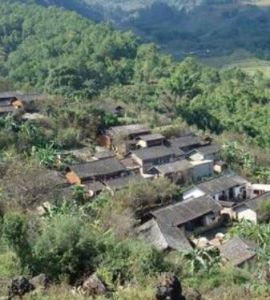 楊柳溝自然村 楊柳溝自然村