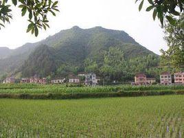 路邊村[福建漳州漳浦縣杜潯鎮下轄村]