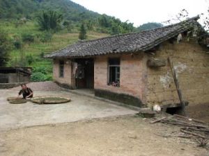 勐大鎮馬台村 勐大鎮馬台村