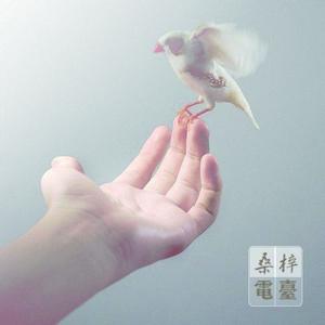 桑梓網路電台 桑梓網路電台