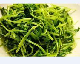 酒香豆苗 酒香豆苗