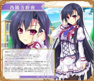 大小姐和秘密少女