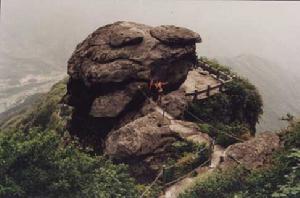 靈芝仙泉 靈芝仙泉