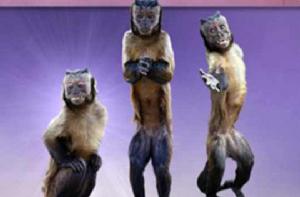 歡樂三隻猴 歡樂三隻猴