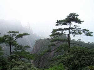 三清山峰林