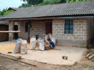 大幹河一村 大幹河一村