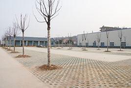 林蔭停車場 林蔭停車場