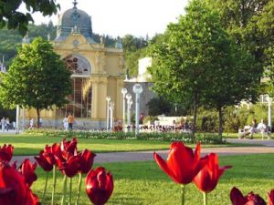 瑪麗亞溫泉市 瑪麗亞溫泉市