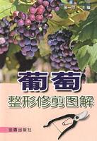 葡萄整形修剪圖解 葡萄整形修剪圖解