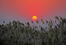 黃沙港鎮旅遊景點5