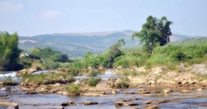 青秀灣農莊 青秀灣農莊