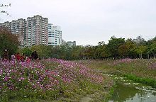 巴克禮紀念公園 巴克禮紀念公園