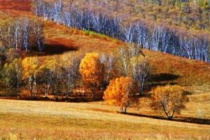 長白南麓 長白南麓