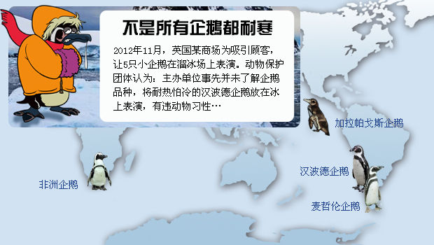 企鵝一直被視為南極的象徵，其實只有帝企鵝及阿德利企鵝完全生活在南極。現存的企鵝約有20種，大部分生活在溫帶，環企鵝屬的漢波德企鵝、麥哲倫企鵝與黑腳企鵝則分布亞熱帶、熱帶地區，加拉帕戈斯企鵝更是生活在赤道附近。