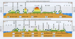 垂直地帶性 垂直地帶性
