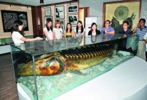 中國釣魚文化博物館