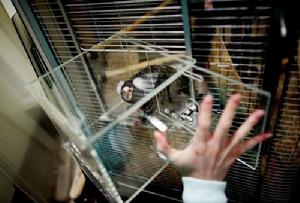 （圖）機理試驗