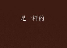 是一樣的