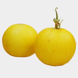 伊莉莎白瓜 伊莉莎白瓜