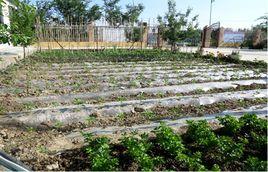 十八戶村 十八戶村