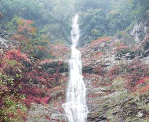 神馬水瀑布 神馬水瀑布