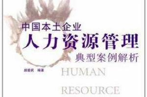 中國本土企業人力資源管理典型案例解析 中國本土企業人力資源管理典型案例解析