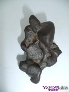 哈福文化水下遺址 哈福文化水下遺址