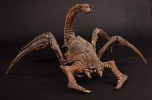 蟲族[科幻電影《星河戰隊》中的阿拉奇蟲族]