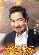 俠爸虎妞[2016年陳國星執導電視劇]