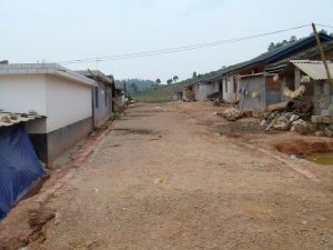 老杜寨自然村 老杜寨自然村