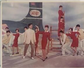 迷人小鳥 迷人小鳥